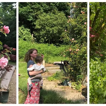 Blackhill Woods Retreat Casa rural