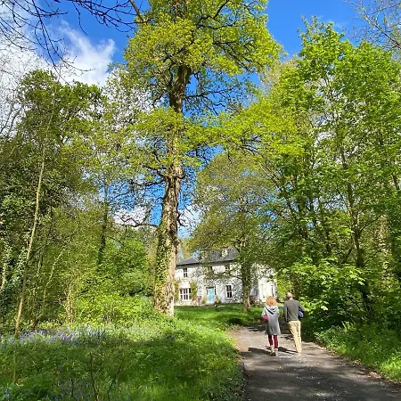 Blackhill Woods Retreat 乡村民宿 阿比莱克斯