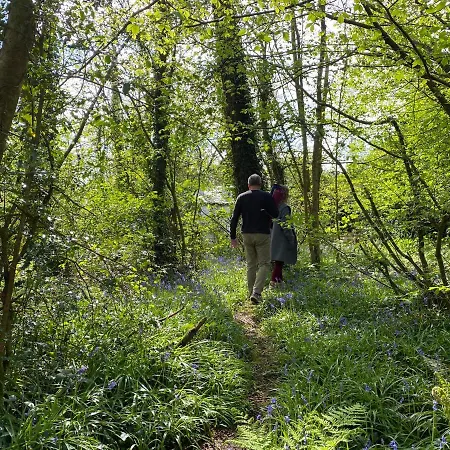 Blackhill Woods Retreat