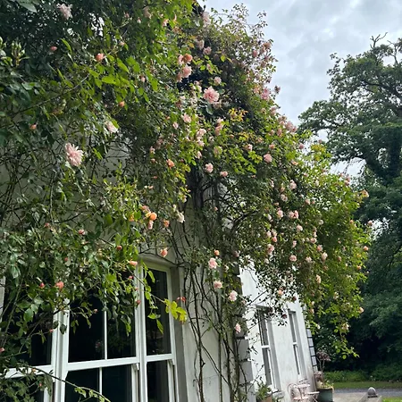 Blackhill Woods Retreat