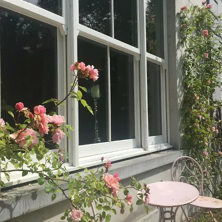 Blackhill Woods Retreat 乡村民宿 阿比莱克斯