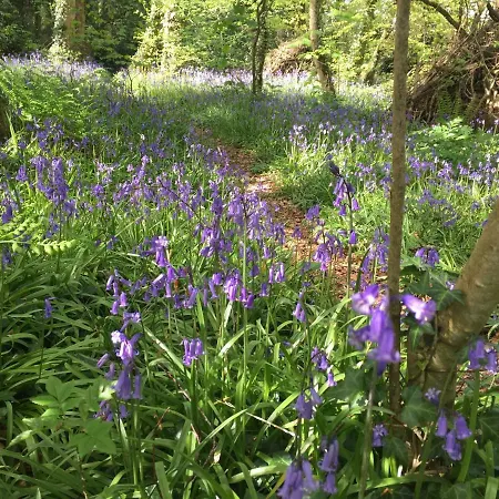 Blackhill Woods Retreat *