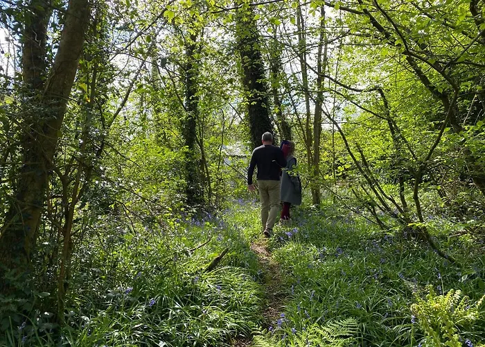 Blackhill Woods Retreat