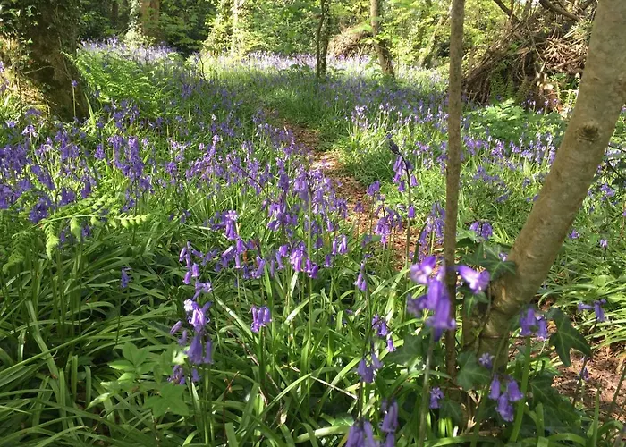 Blackhill Woods Retreat *